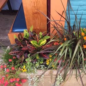 Meet your Posher, Freda