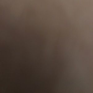 Meet your Posher, Fred