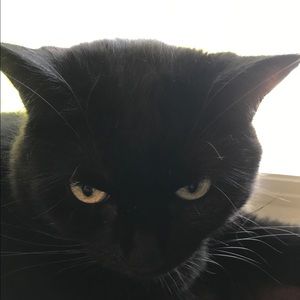 Meet your Posher, Diane