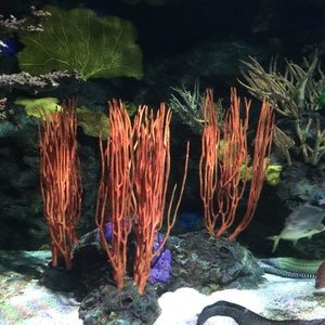 Meet your Posher, Karin