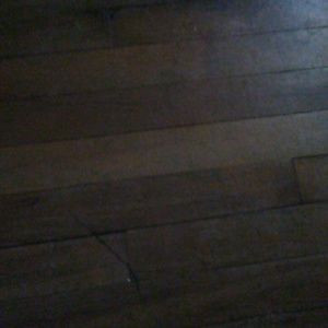 Meet your Posher, Freddy