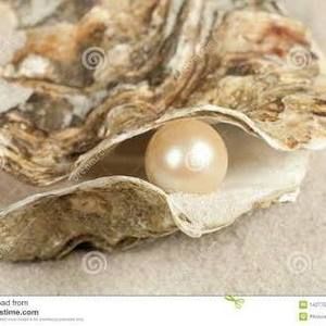 Meet your Posher, Marwa