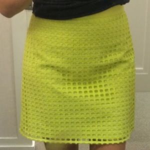 Ann Taylor Loft Geo Eyelet Skirt