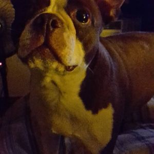 Meet your Posher, Brenda