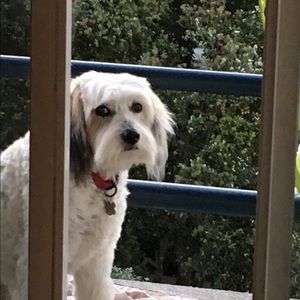 Meet your Posher, Dina