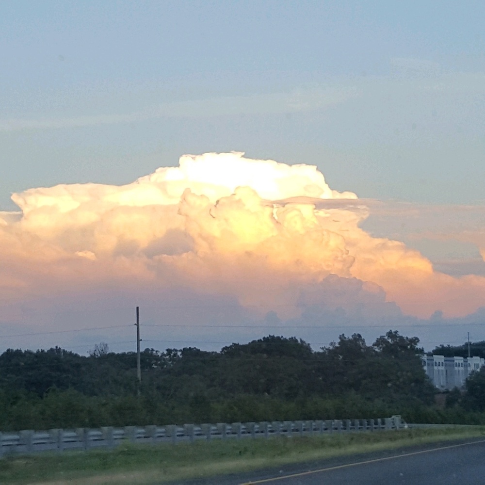 Meet your Posher, Sharon