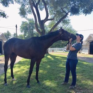 Meet your Posher, Sam