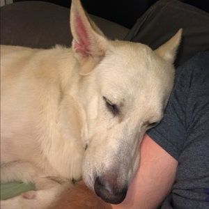 Meet your Posher, Christian