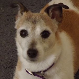 Meet your Posher, Becky