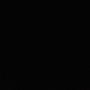 Meet your Posher, Caden