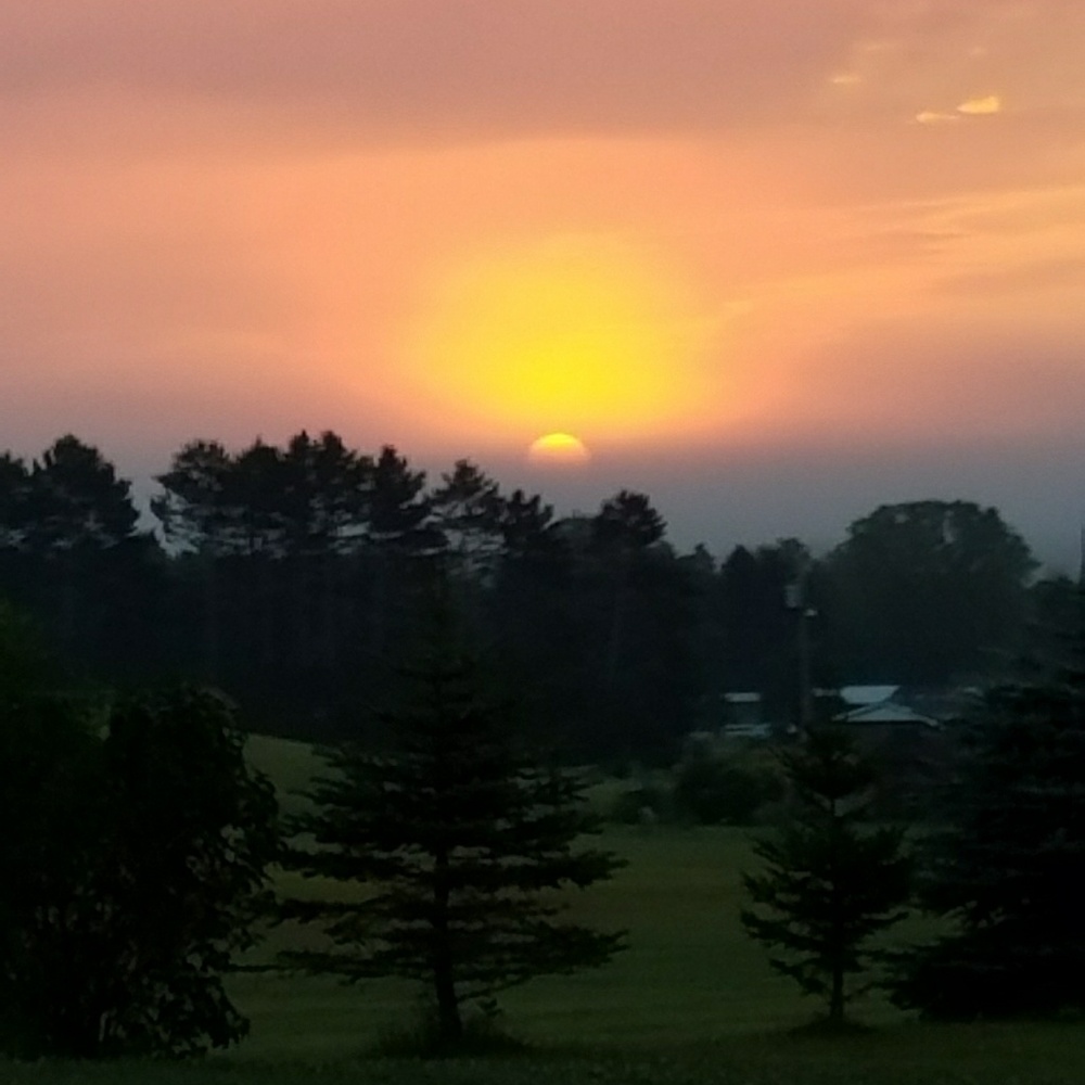 🛇🛇7569 ONLY🛇🛇