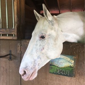 Meet your Posher, Beth