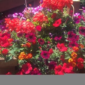 Meet your Posher, Nancy