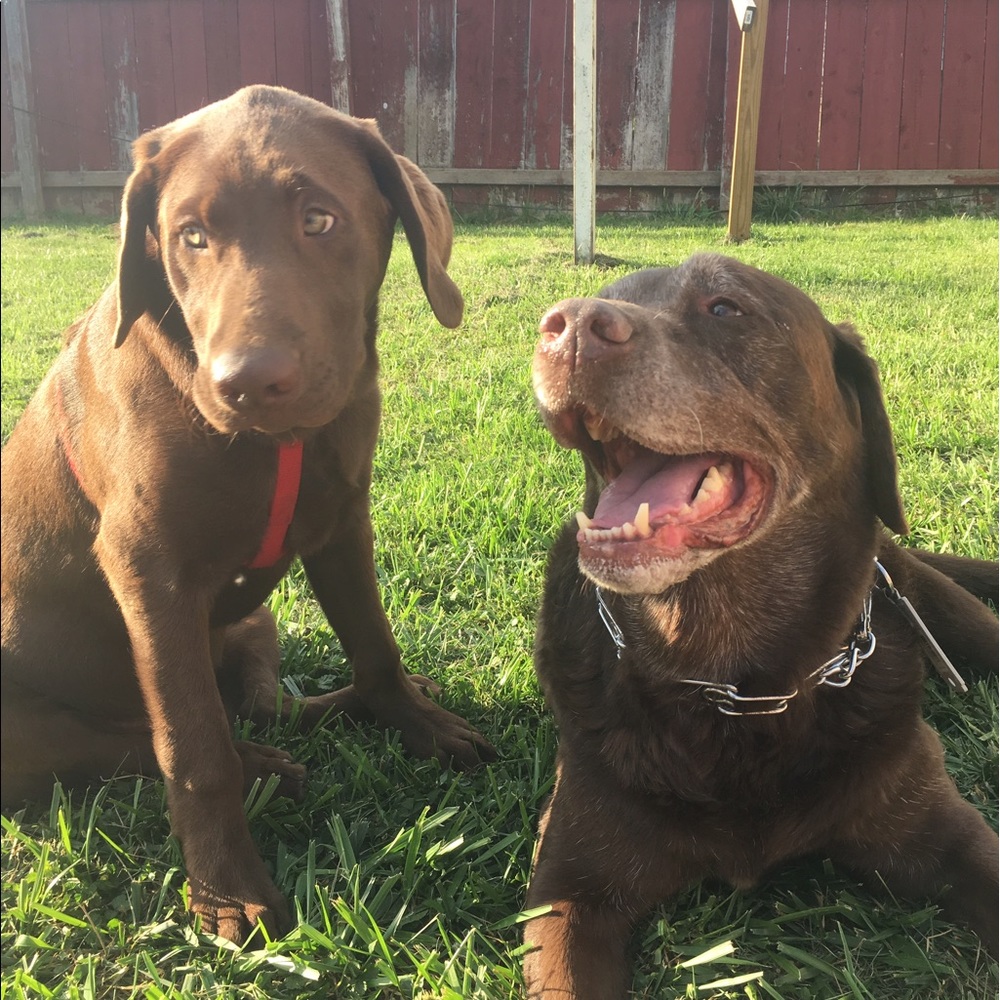 Meet your Posher, Maddie