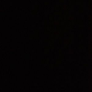 Meet your Posher, Brooklyn