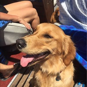 Meet your Posher, Kendall