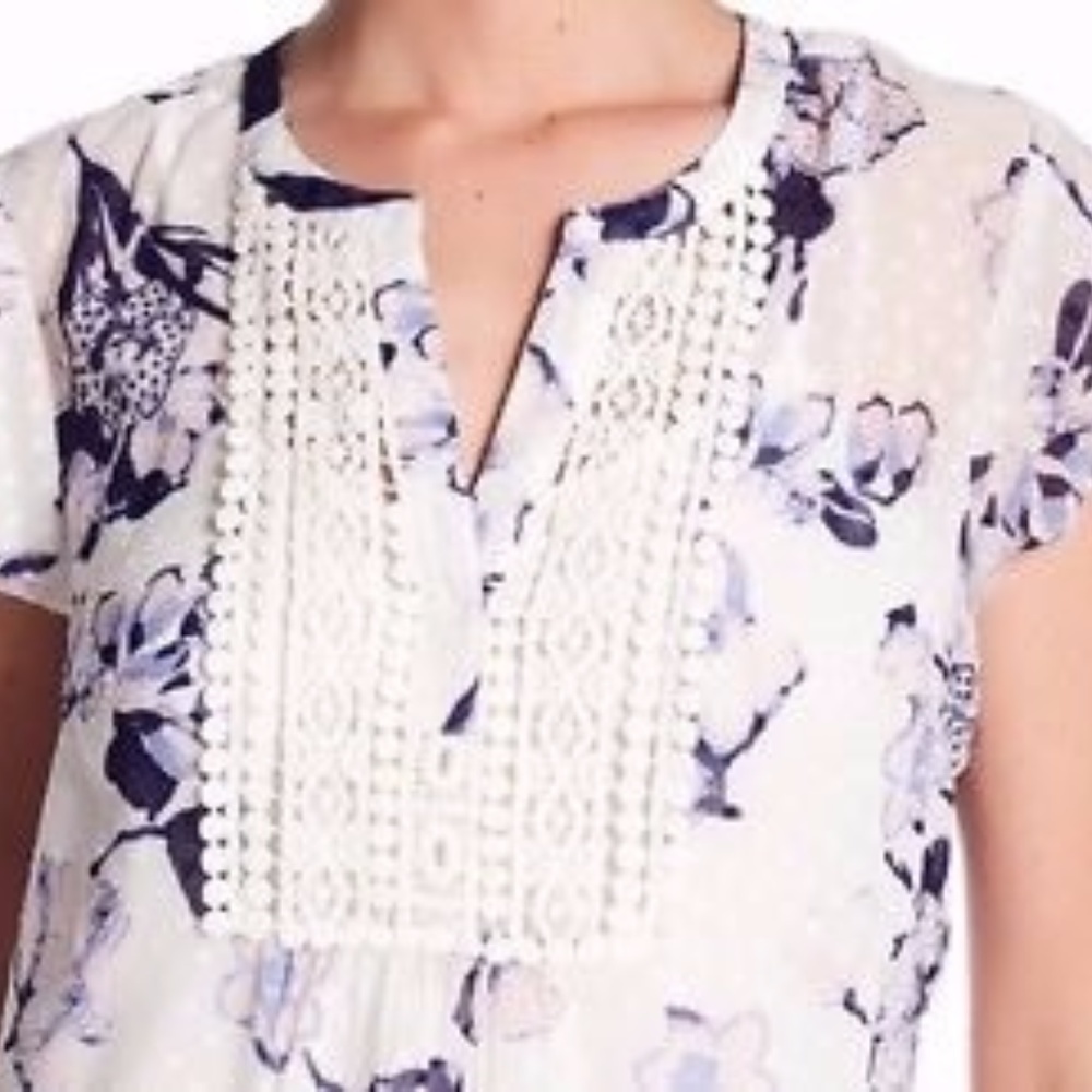 Daniel Rainn Sheer Floral Clip Dot Peplum Blouse