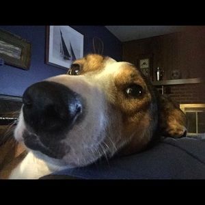 Meet your Posher, Eric
