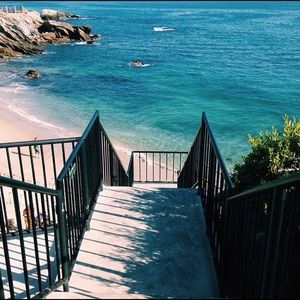 Meet your Posher, Bella