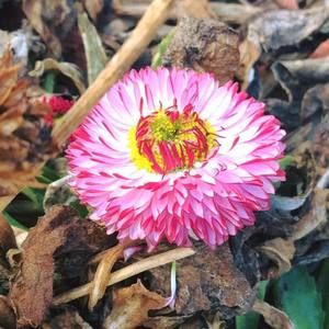 Meet your Posher, Sidney