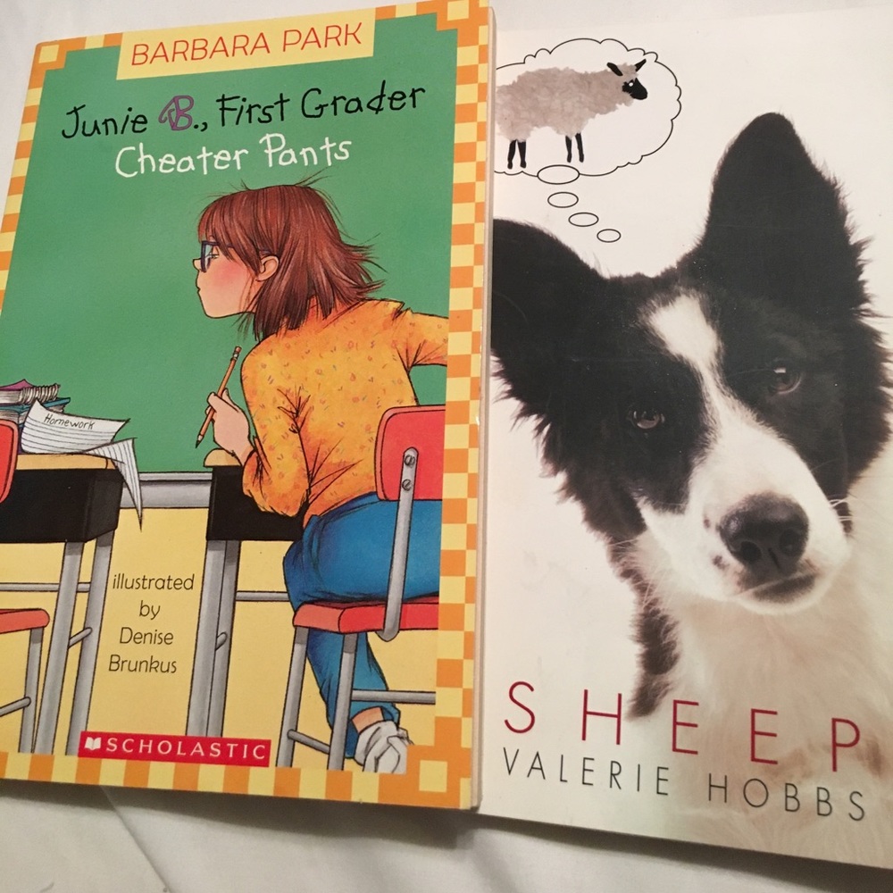 2 books elementary level