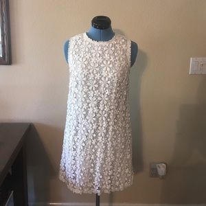Dolce Vita lace shift dress