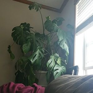 Meet your Posher, Shan