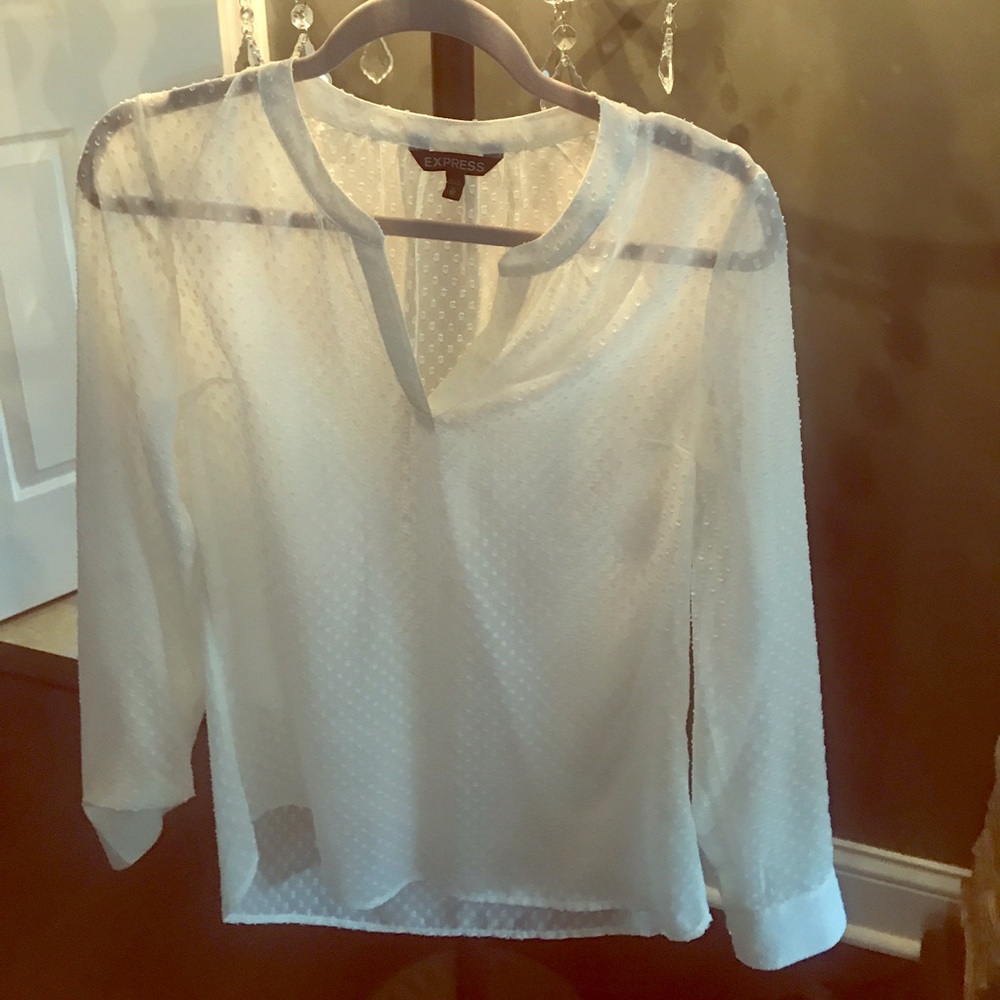 Express sheer beige top