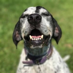 Meet your Posher, Mike