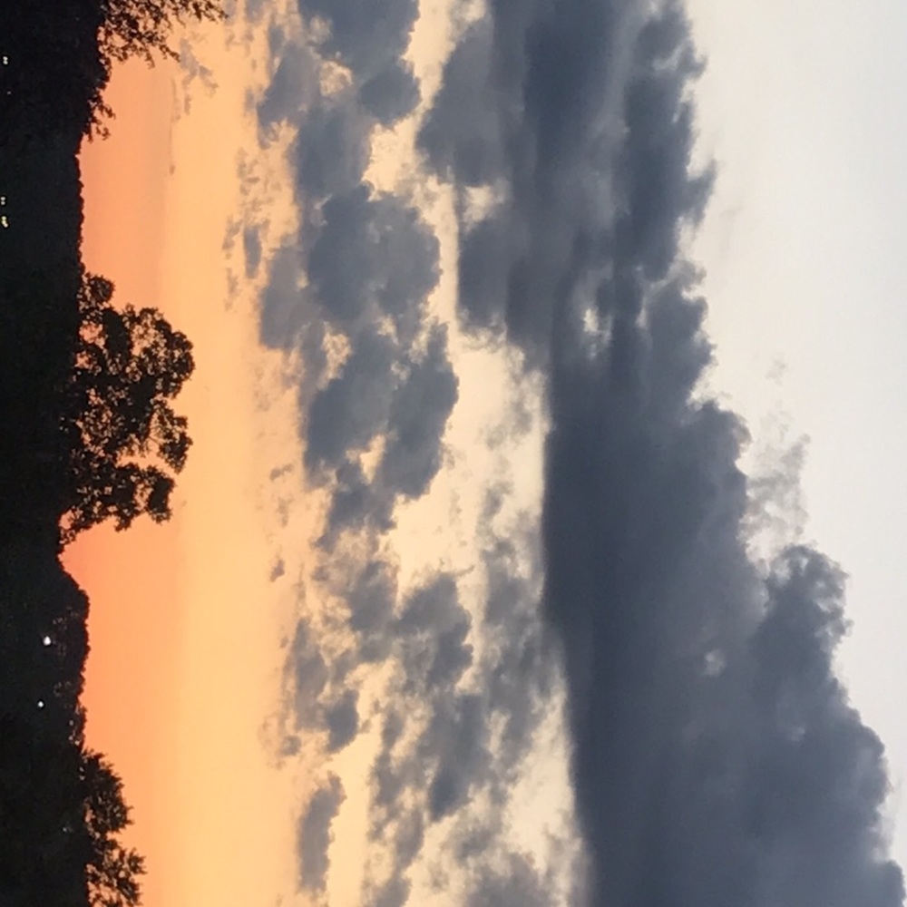 Meet your Posher, Lily