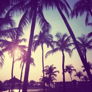 Meet your Posher, Bella