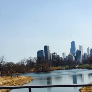 Meet your Posher, Damaris