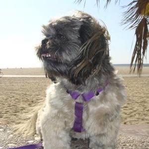 Meet your Posher, Elizabeth