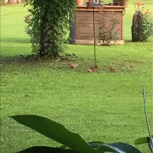 Meet your Posher, Cheryl