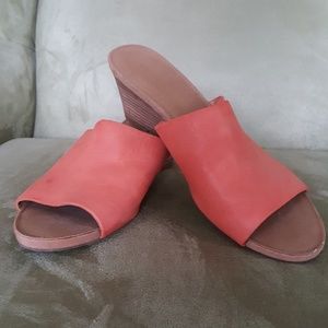 Tangerine Wedges