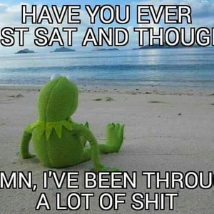 Meet your Posher, Alan