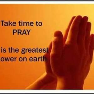 Meet your Posher, Penny