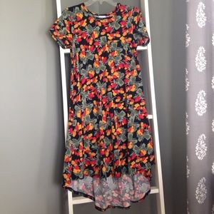 Carly dress-Lularoe