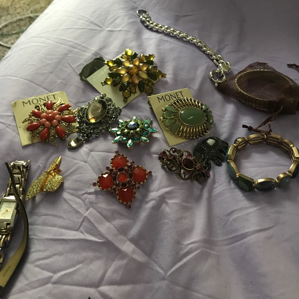 Variety of Broaches and Bracelets