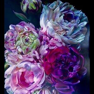 Meet your Posher, Terri