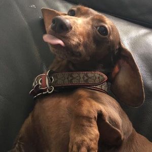 Meet your Posher, Mayra