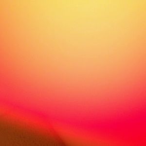 Meet your Posher, Nadine