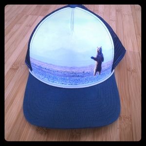 Patagonia bear truckers hat