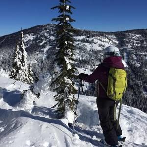 Meet your Posher, Molly