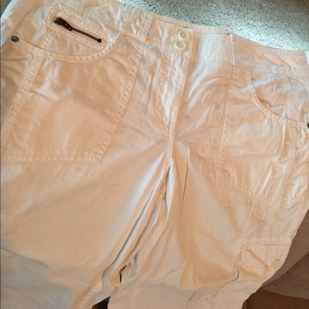 Ann Taylor Loft cropped pants.