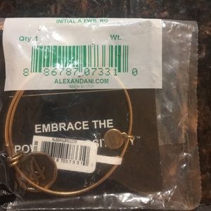 Alex and Ani A pendant bracelet