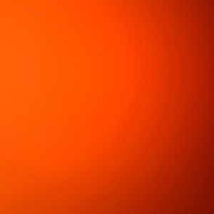 Meet your Posher, Tish