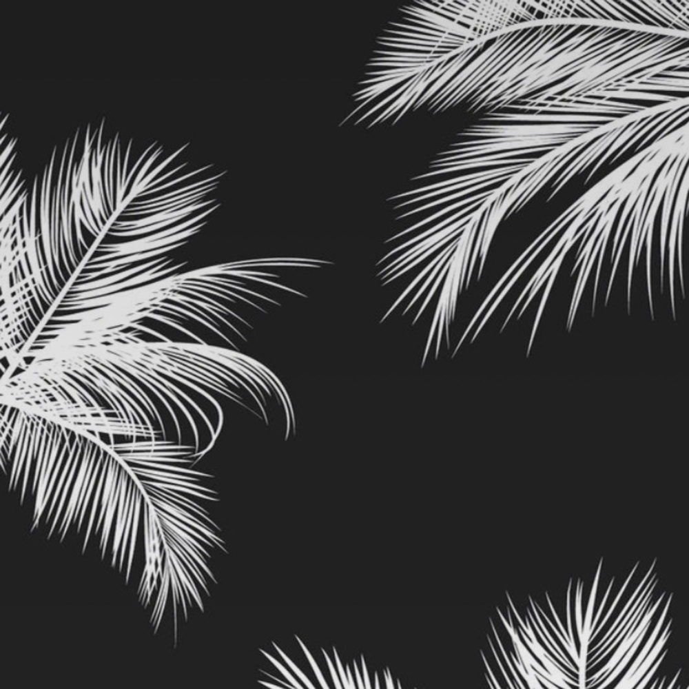 Meet your Posher, Elexis