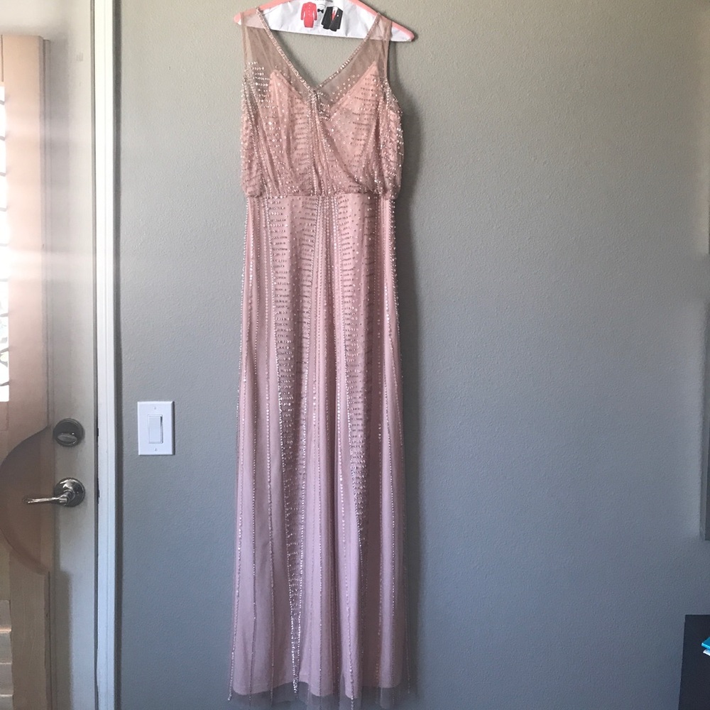 Adrianna Papell Gown Blush