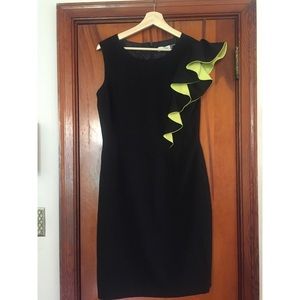 Calvin Klein sleeveless dress.